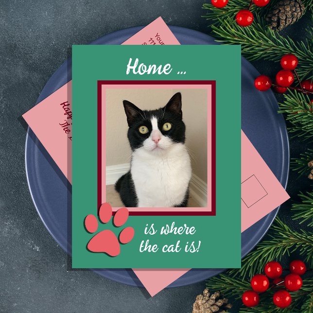 Christmas Holiday New Address Cat Postcard (Creator Uploaded)