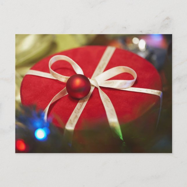 Christmas Holiday Postcard (Front)