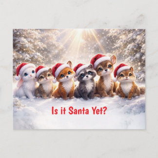Christmas Holiday Woodland Cute Animals Postcard