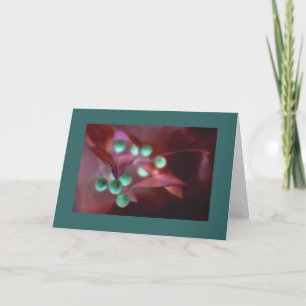 Christmas Holly Holiday Card