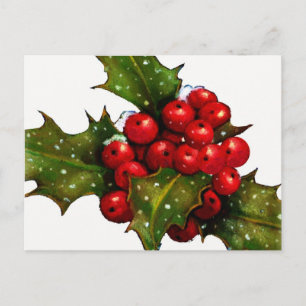 Christmas Holly With Berries and Snow: Art Holiday Postcard