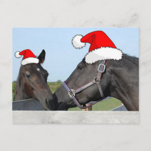 Christmas Horse and Poney Holiday Postcard