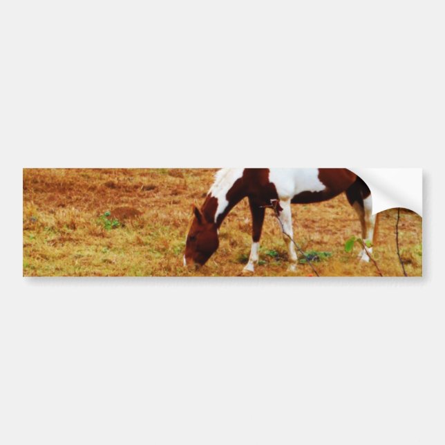 Christmas Horse Bumper Sticker (Front)