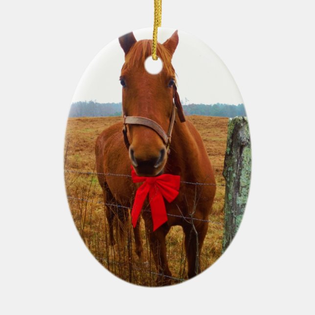 Christmas Horse Ceramic Tree Decoration (Front)