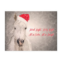 Christmas Horse PostCard Holiday Greetings