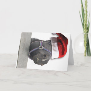 Christmas Horse Santa Claus Holiday Card