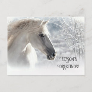 Christmas Horse Seasons Greetings Holiday Postcard
