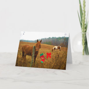 Christmas Horse with bow and stocking Holiday Card