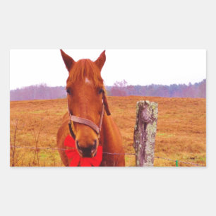 Christmas Horse with bow & stocking Rectangular Sticker