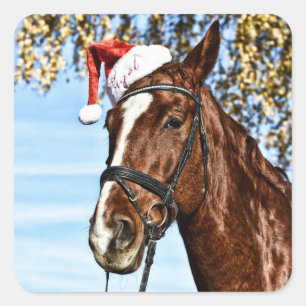 Christmas horse with hat square sticker