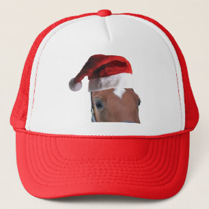 Christmas Horse With Santa Hat