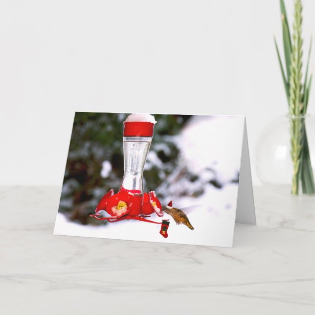 Christmas Hummingbird and Snow Holiday Card (Front)