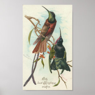 Christmas Hummingbirds Poster