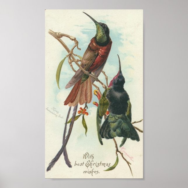 Christmas Hummingbirds Poster (Front)