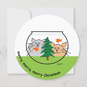 Christmas in a Fishbowl Holiday Card