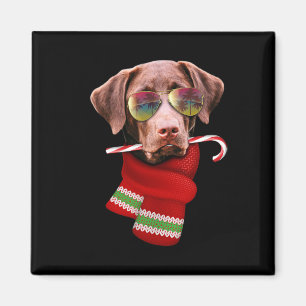 Christmas In July Shirt Labrador Sungles Dog Lover Magnet