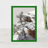 Christmas in the Grand Canyon