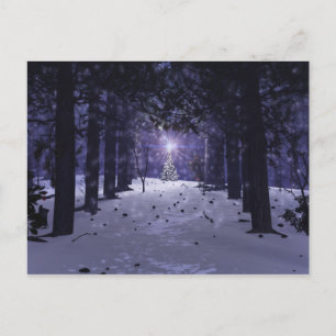 Christmas in the Pines Postcard