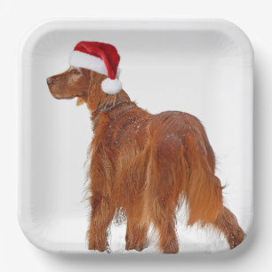 Christmas Irish Setter Paper Plate