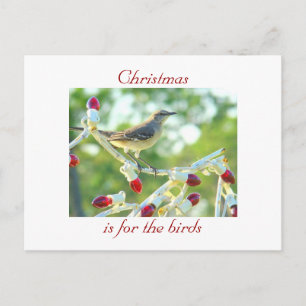 Christmas is for the Birds Holiday Postcard
