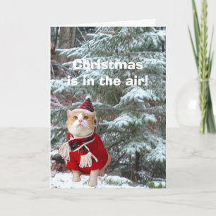 Christmas is in the Air! Holiday Card