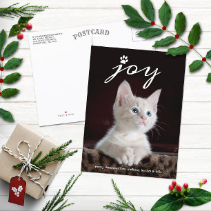 Christmas Joy   Pet Holiday Photo Postcard
