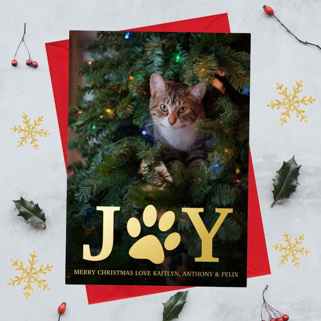 Christmas Joy | Pet Photo Real (Creator Uploaded)