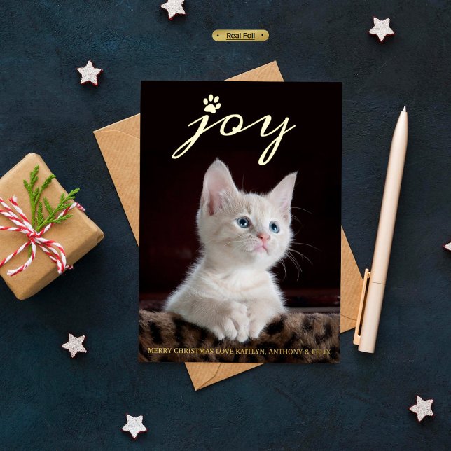Christmas Joy | Pet Photo Real (Creator Uploaded)