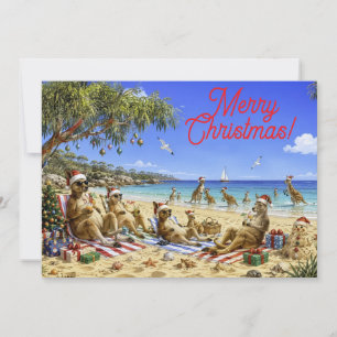 Christmas Kangaroo Beach Picnic Merry Christmas Holiday Card