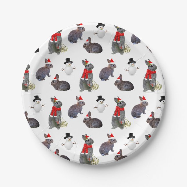 Christmas Kits Party Paper Plate (Front)