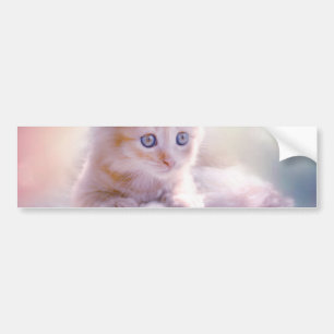 Christmas Kitten Bumper Sticker