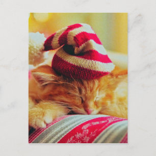 Christmas Kitten Holiday Postcard