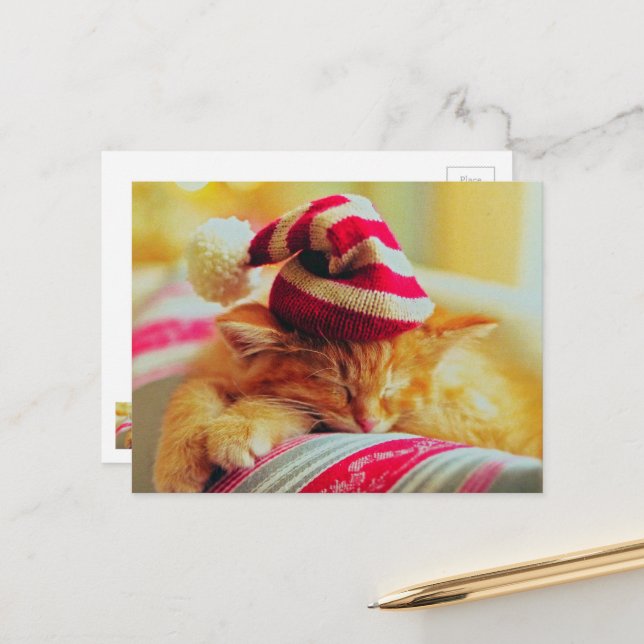 Christmas Kitten Holiday Postcard (Front/Back In Situ)