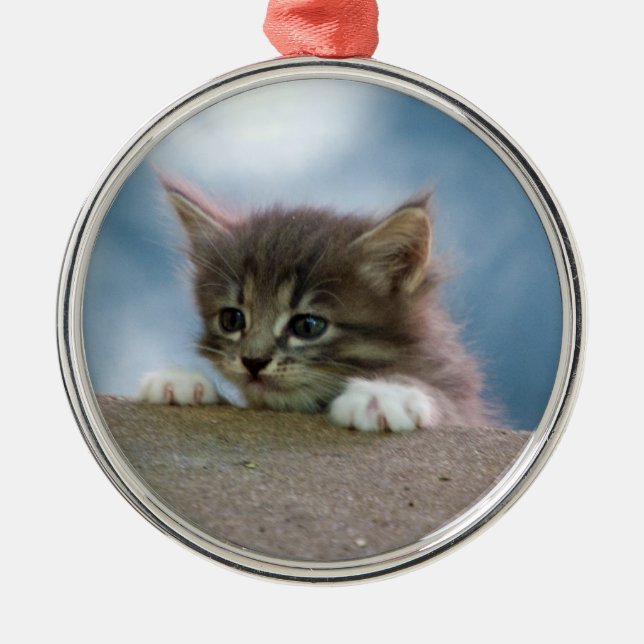 Christmas Kitten Metal Tree Decoration (Front)