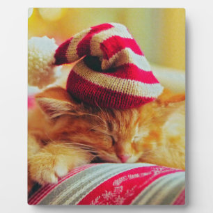 Christmas Kitten Plaque