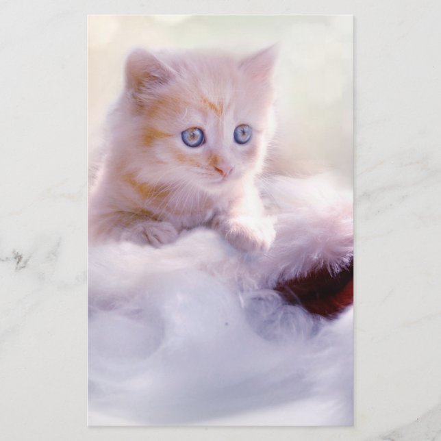 Christmas Kitten Stationery (Front)