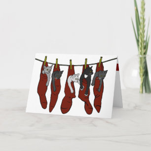 Christmas Kittens Chatons de Nöel Card (corny)
