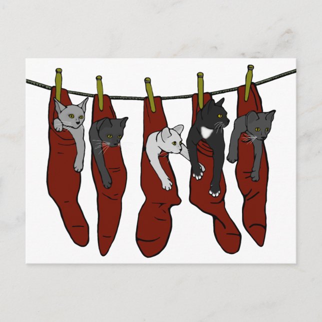 Christmas Kittens | Chatons de Nöel Postcard (Front)
