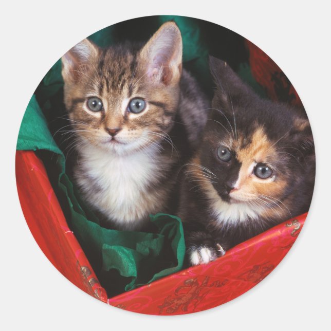 Christmas Kittens Classic Round Sticker (Front)