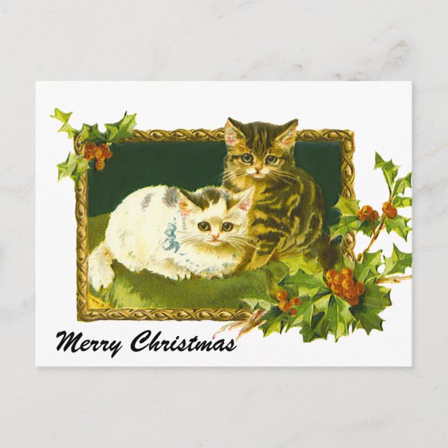 Christmas Kittens Holiday Postcard (Front)