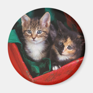 Christmas Kittens Magnet