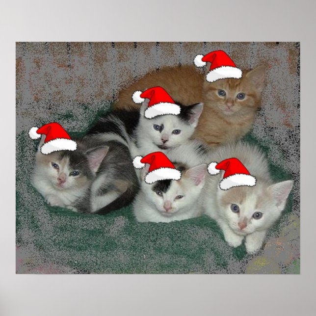 Christmas Kittens Poster (Front)
