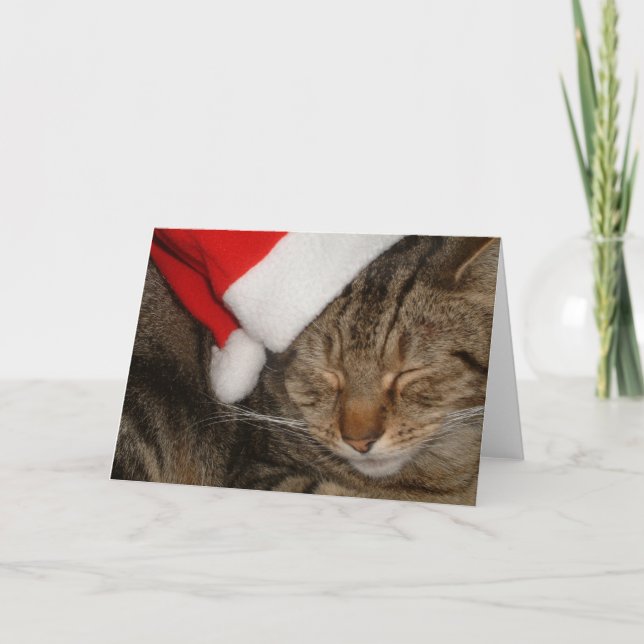 Christmas Kitty Holiday Card (Front)