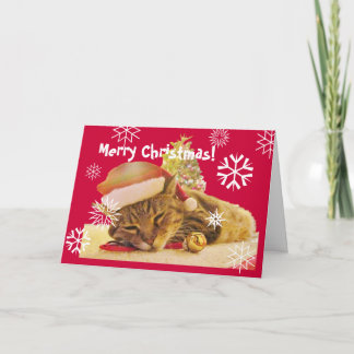 Christmas Kitty Holiday Card
