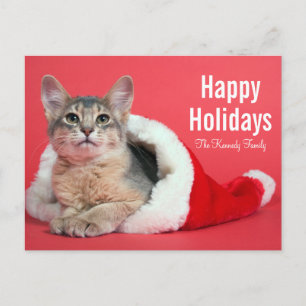 Christmas kitty holiday postcard