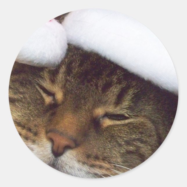 Christmas kitty stickers (Front)