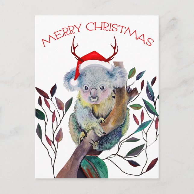 Christmas Koala wearing Santa Hat    Postcard (Front)