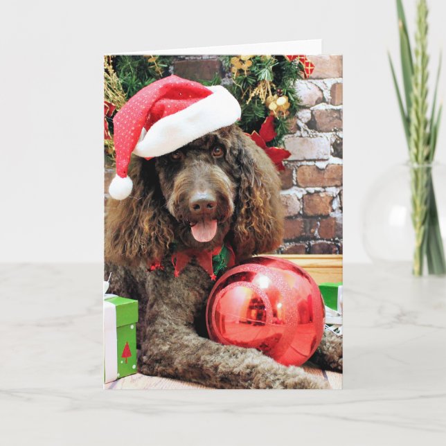 Christmas - LabraDoodle - Harley Holiday Card (Front)