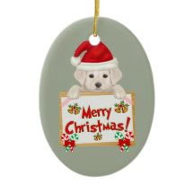 Christmas Labrador Puppy! For Puppy Lovers!