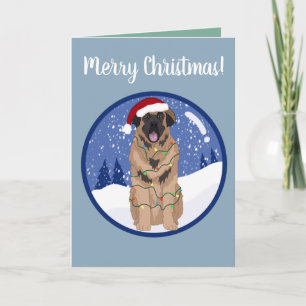 Christmas Leonberger Card
